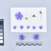 CIP 761302_OCHS 11852_buk_F_2024.jpg