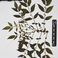 CIP 760438_HHA 6540_04.jpg