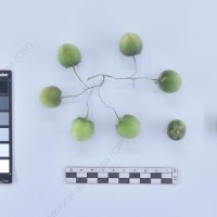 CIP 760462_HHA 6620_brc_B_2024.jpg