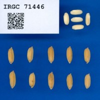 IRGC71446.jpg