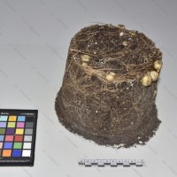 CIP 765722 (1)_Tb.jpg