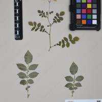 CIP 760001_OCH 37_02.jpg