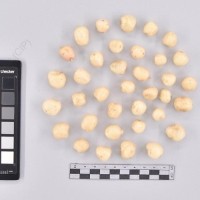 CIP 761055_OCHS 11914_mga_T_2024.jpg