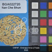 BRA00185795-2.JPG