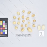 CIP 765693 (1)_T.jpg