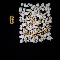 Popped and not popped comparison.jpg