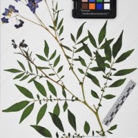 CIP 765693_RPSP 004_12.jpg