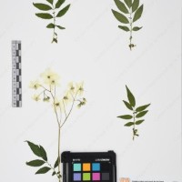 CIP 765693_RPSP 004_17.jpg