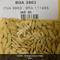 BRA00002700-3.JPG