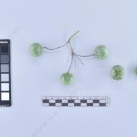 CIP 761364_OCH 11954_blv_B_2024.jpg