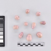 CIP 765717_RPSP 029_mga f prp_T_2024.jpg