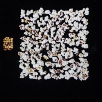 Popped and not popped comparison.jpg