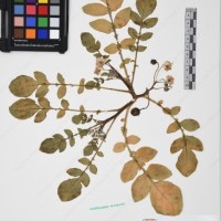 CIP 760010_OCH S21_01.jpg