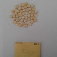 CIMMYTMA 5039 - Reference Inventory.jpg