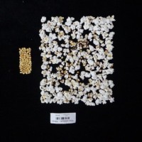 Popped and not popped comparison labeled.jpg