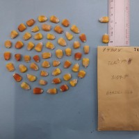 CIMMYTMA 7480 - Reference inventory.jpg