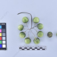 CIP 761845_OCH 13856_buk_B_2024.jpg