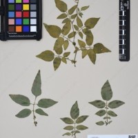 CIP 760305_HHCH 4728_07.jpg