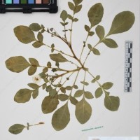 CIP 760010_OCH S21_05.jpg