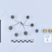 CIP 760593_VSOA 83_acl_B_2024.jpg