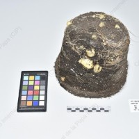 CIP 765722_RPSP 034_acs_Tb_2024.jpg