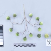 CIP 765693_RPSP 004_acs_B_2024.jpg