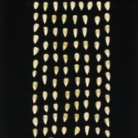 CIMMYTMA 27120 HIDA 105 TC20U 2903 176 K1680 _compress.jpg