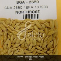 BRA00001724-4.JPG