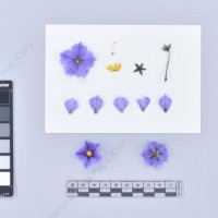 CIP 761021_OCH 13861_buk_F_2024.jpg