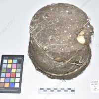 CIP 761210_OCH 11315_lgl_Tb_2024.jpg