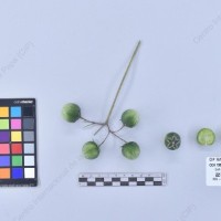 CIP 761833_OCH 13832_buk_B_2024.jpg