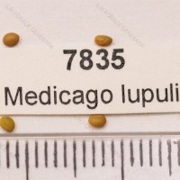 7835.jpg