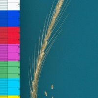 CWI17947_52594_107.jpg