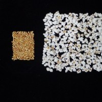 Popped and not popped comparison.jpg