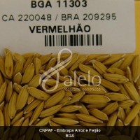 BRA00008638-9.JPG