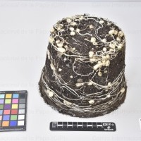 CIP 762337_OCHS 15604_acl_Tb.jpg