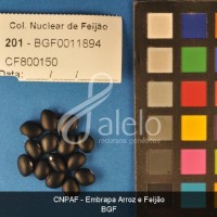 BRA00021414-8.JPG