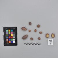 CIP765958_RPSP 282_T.JPG