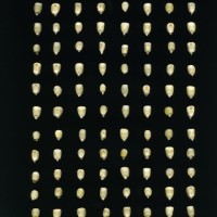 CIMMYTMA 1487 DURA 27 PV22A-1903-150 K827 _compress.jpg