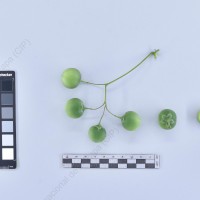 CIP 761410_OCH 12040_rap_B_2024.jpg