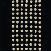 CIMMYTMA 5191 GUAT 131 AF18A-0903-183 K.jpg