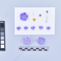 CIP 761726_OCH 13684_buk_F_2024.jpg