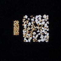 Popped and not popped comparison.jpg