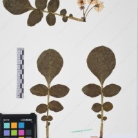 CIP 761297_OCH 11842_04.jpg