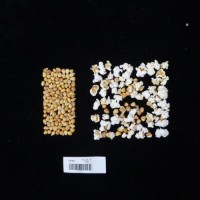 Popped and not popped comparison labeled.jpg