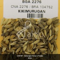 BRA00001486-0.JPG