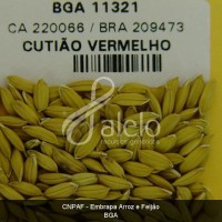 BRA00008656-1.JPG