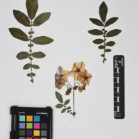 CIP 760340_HHCH 5072_04.jpg