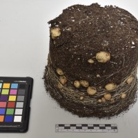 CIP765729_RPSP 044_Tb.JPG