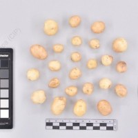 CIP 761538_OCHS 13194_buk_T_2024.jpg